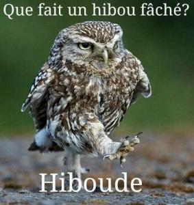 Image image.num1756066199.of.world-lolo.com.jpg