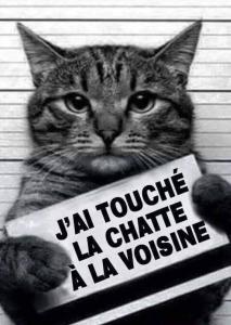 Image image.num1757198674.of.world-lolo.com.jpg