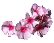 Image image.num1368562535.of.world-lolo.com.gif