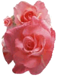 Image image.num1368562678.of.world-lolo.com.gif