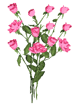 Image image.num1369460543.of.world-lolo.com.gif