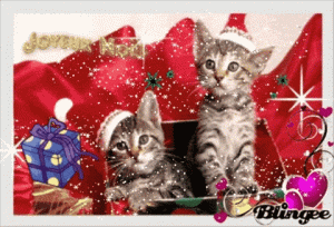 Image image.num1766570469.of.world-lolo.com.gif