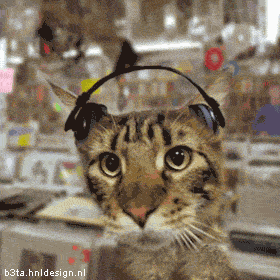 Image image.num1527525969.of.world-lolo.com.gif