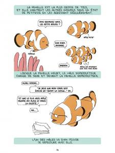 Image image.num1783561846.of.world-lolo.com.jpg