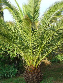 https://www.world-lolo.com/images/uploads/image.num1257097621.of.world-lolo.com.png