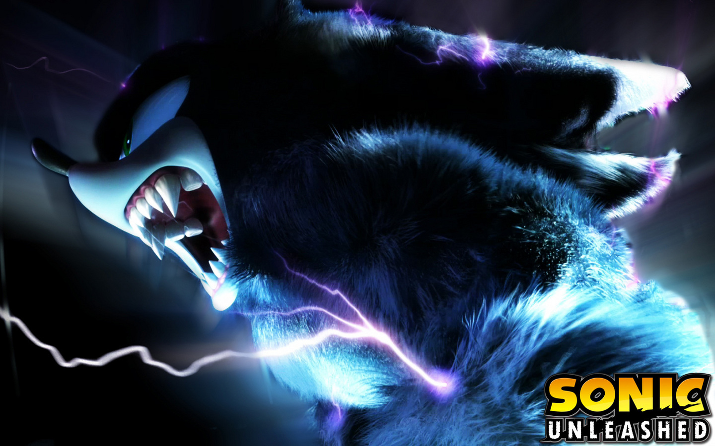 Sonic Unleashed