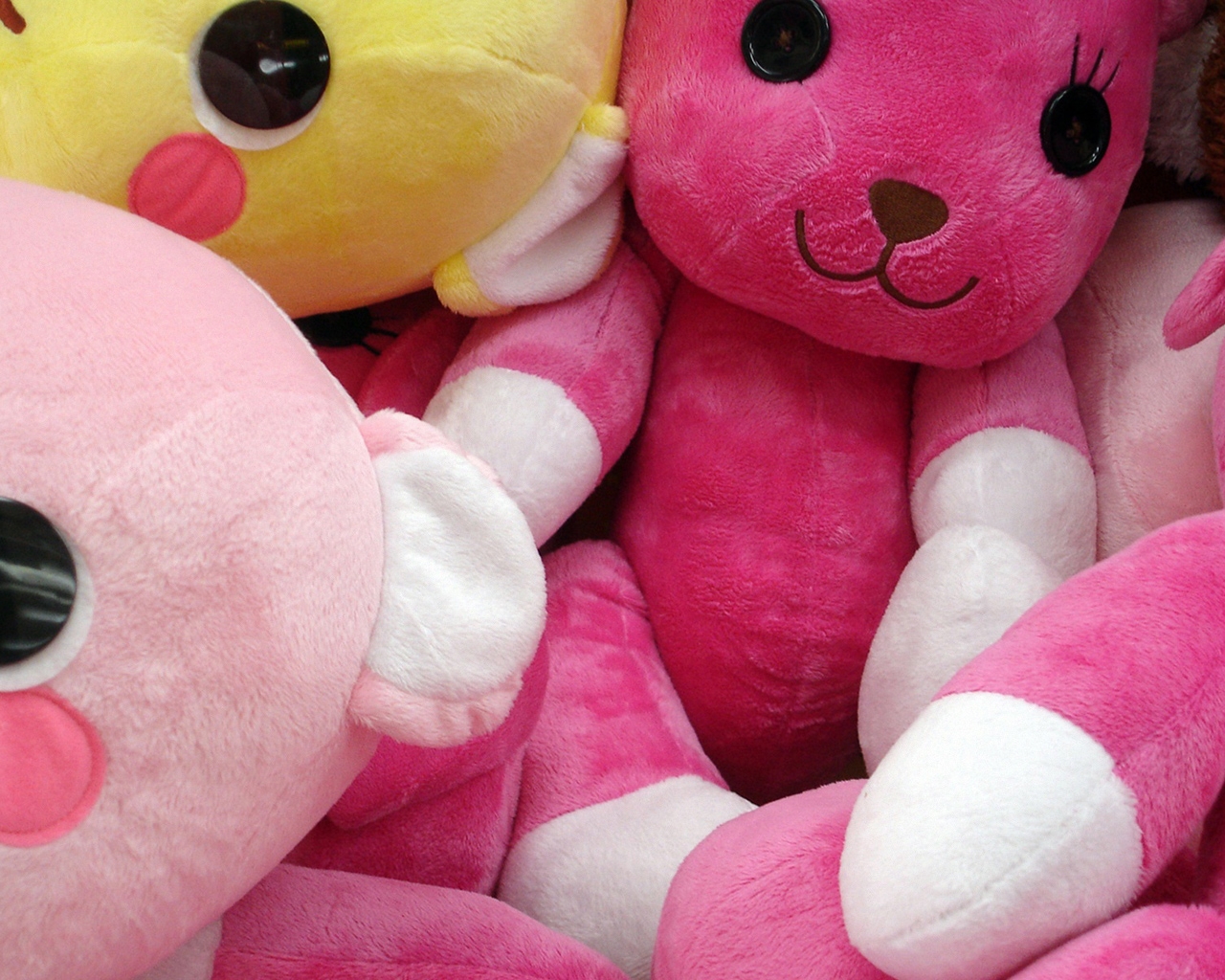 Pink Teddy Bears