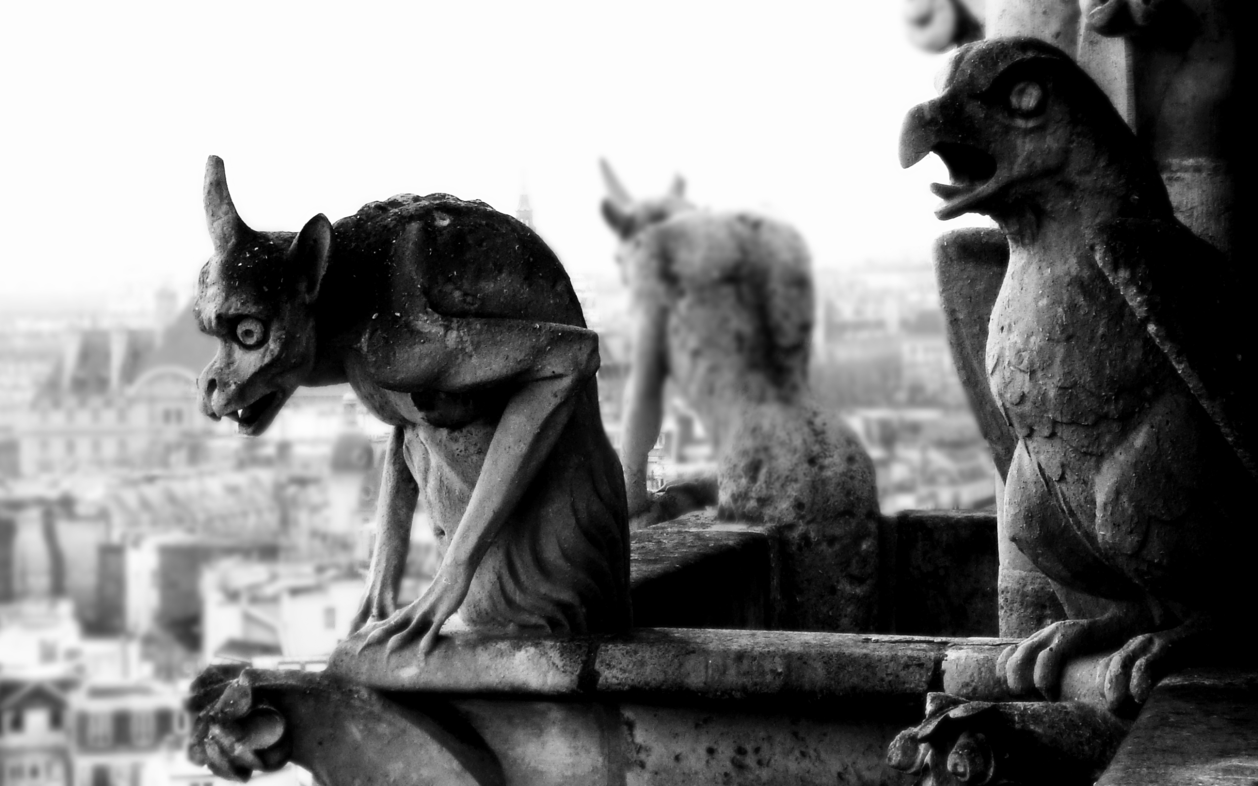 Gargoyle Monochrome