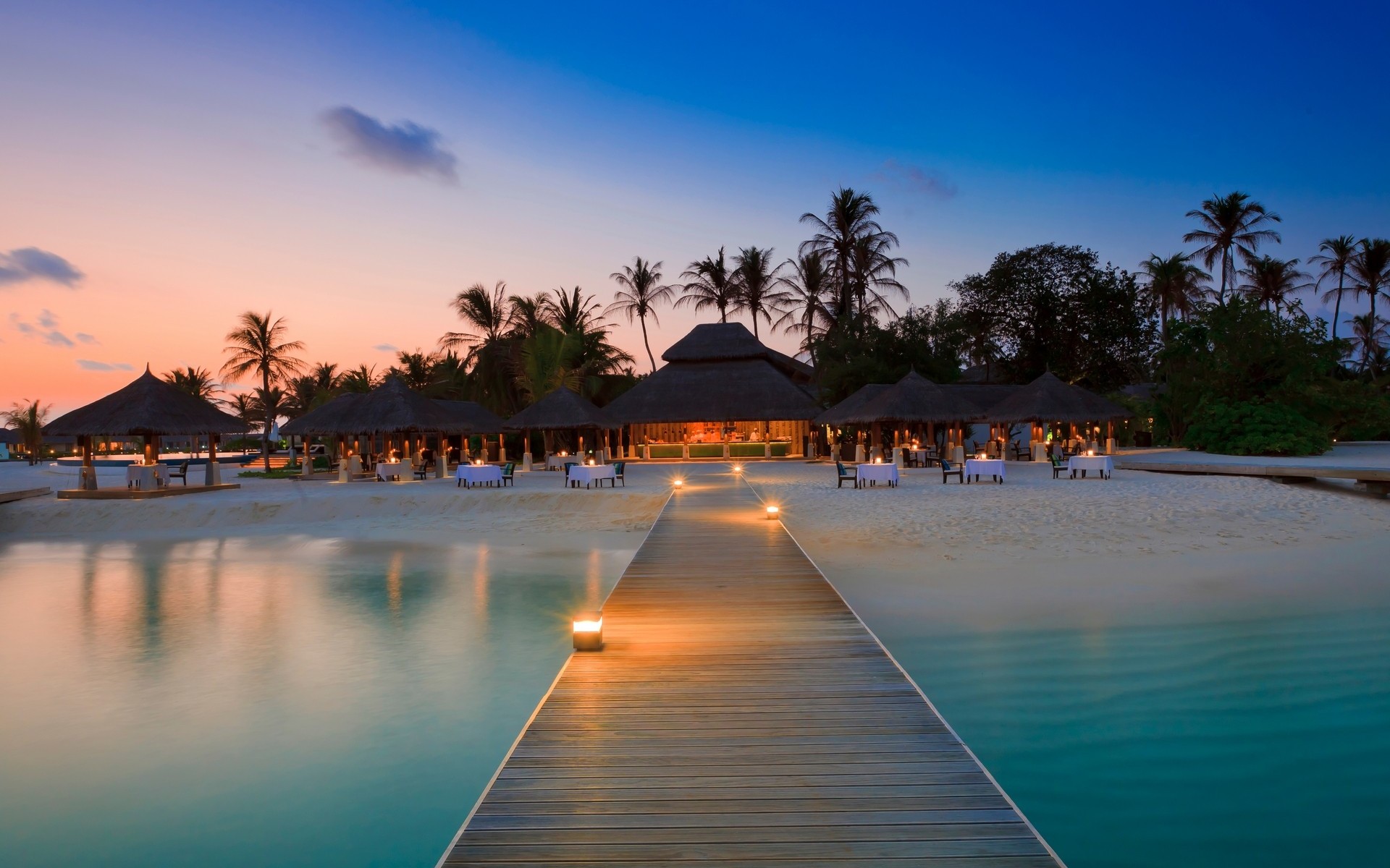 Water Beach Palm Trees