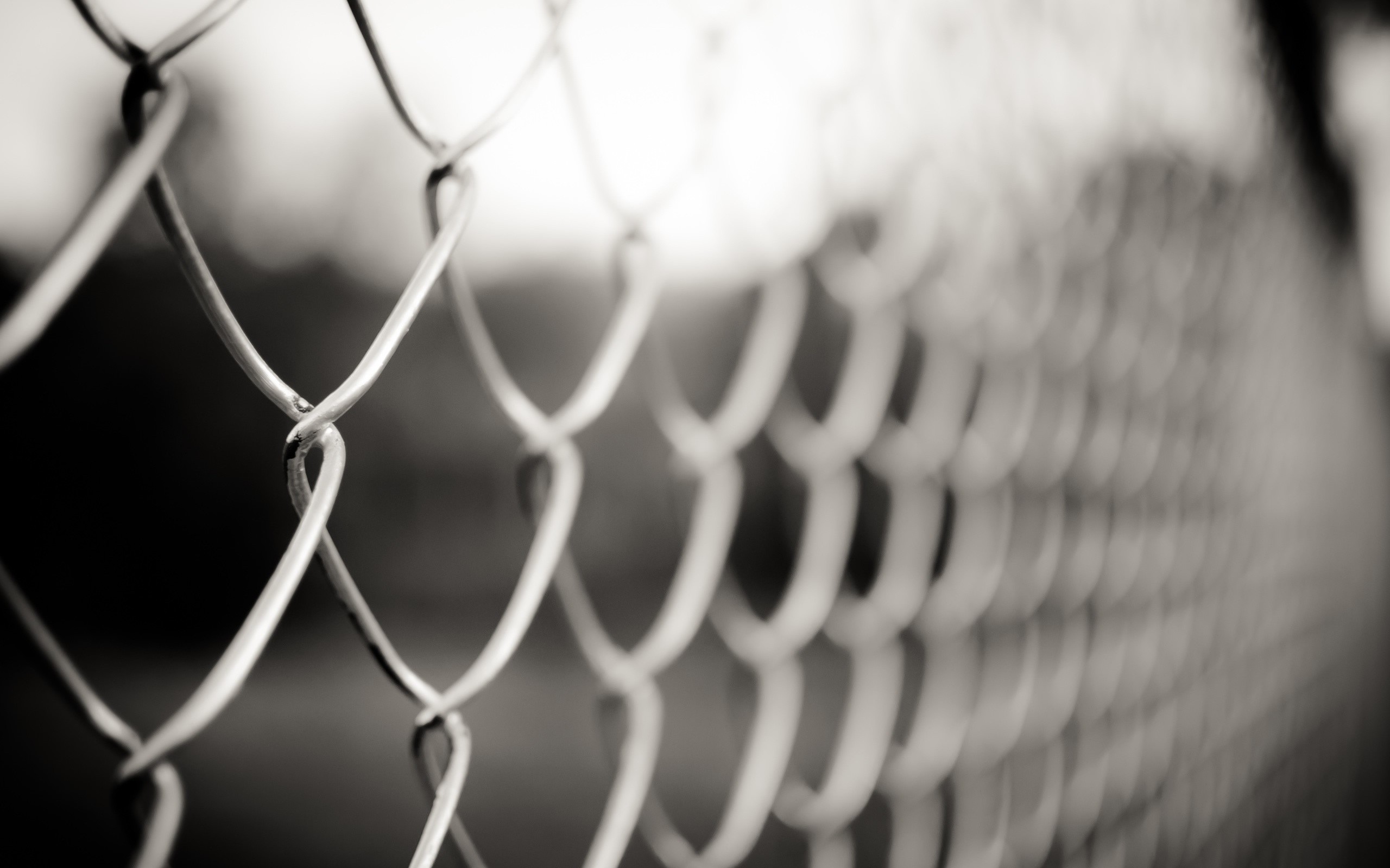 Chain Link Fence