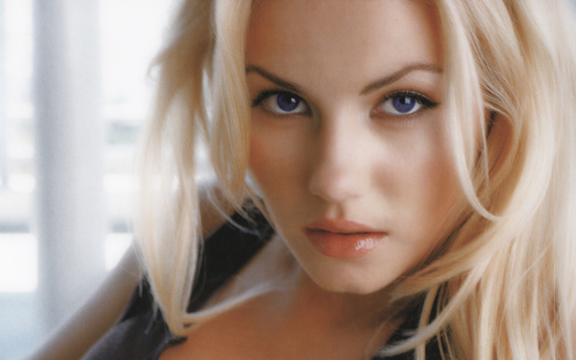 Elisha Cuthbert