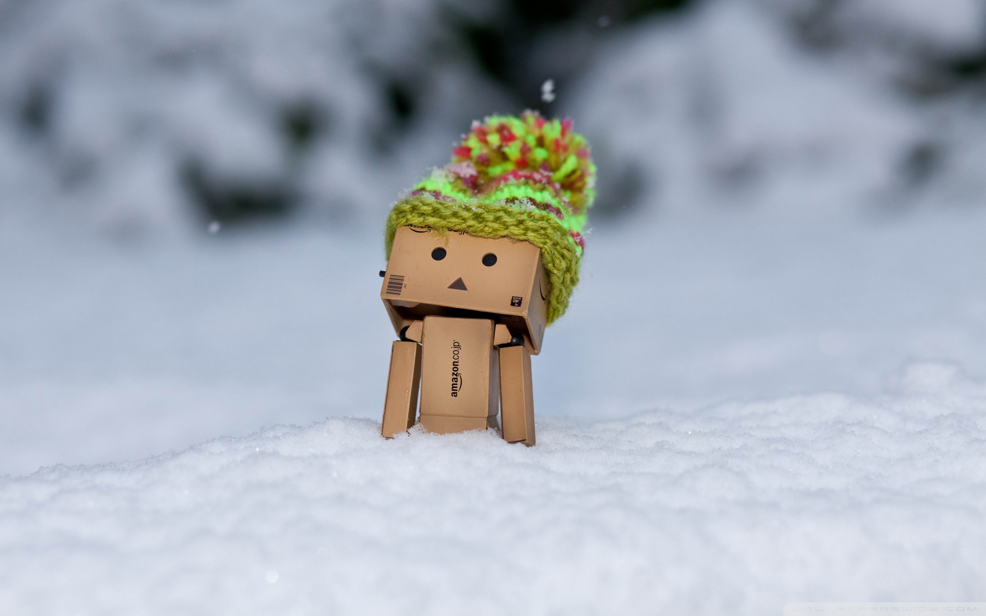 Danbo In Snow