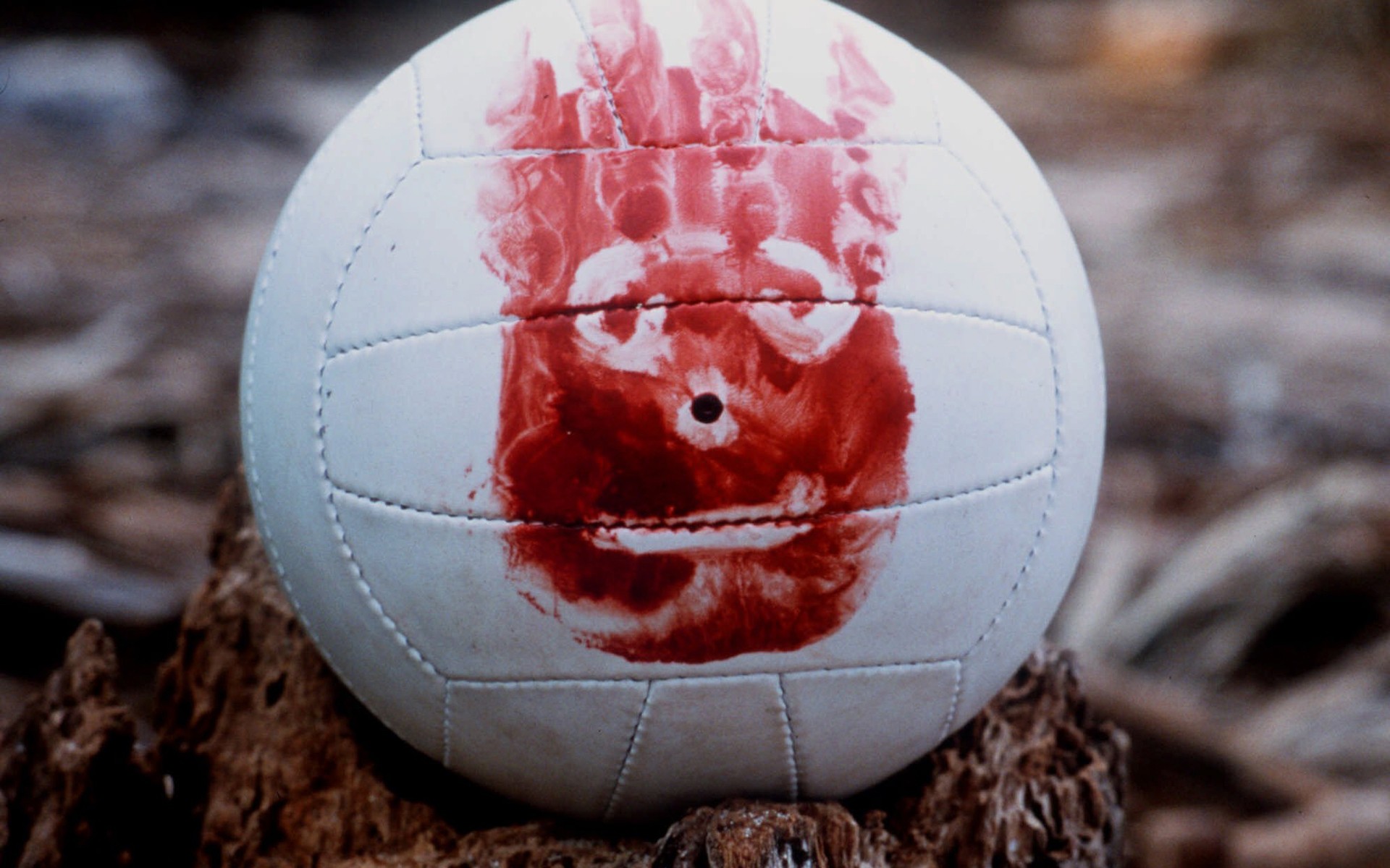 Wilson In Cast Away