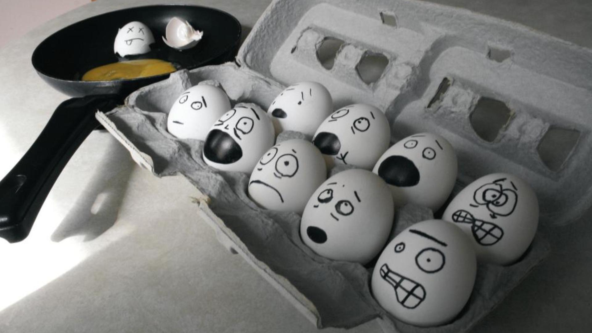 Eggs Funny