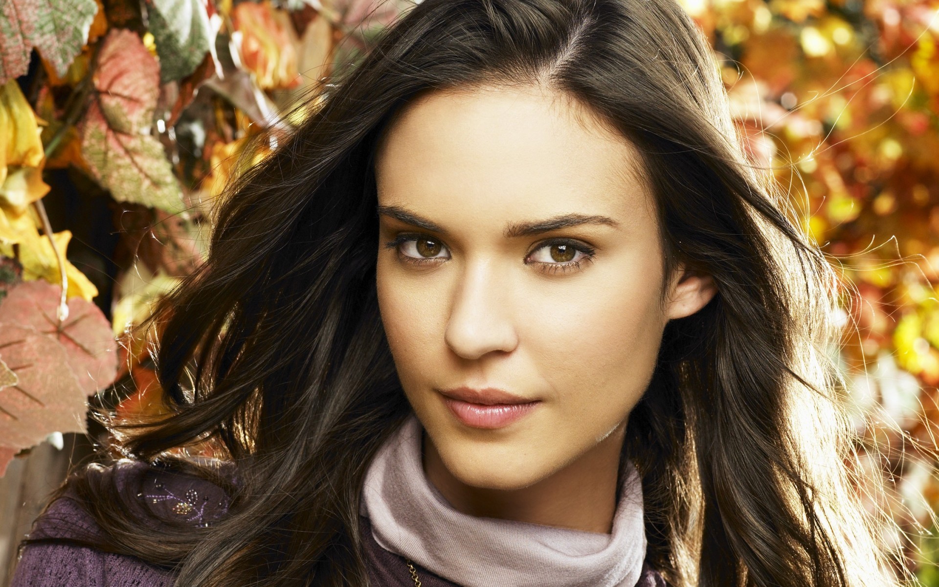 Odette Annable