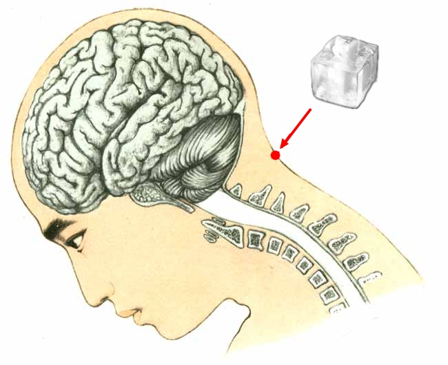 https://www.world-lolo.com/images/uploads/image.num1431403737.of.world-lolo.com.jpg