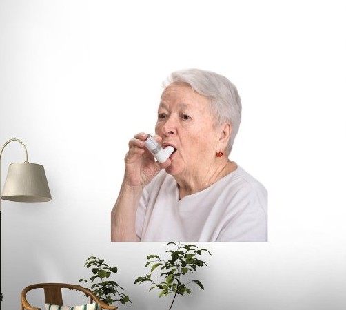 https://www.world-lolo.com/images/uploads/image.num1472296541.of.world-lolo.com.jpg