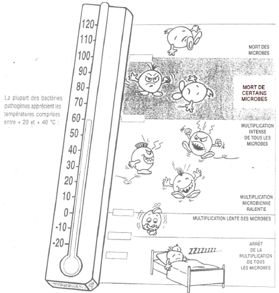 https://www.world-lolo.com/images/uploads/image.num1478039573.of.world-lolo.com.png