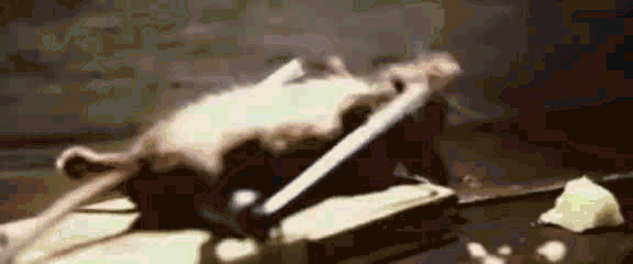 https://www.world-lolo.com/images/uploads/image.num1513028020.of.world-lolo.com.gif
