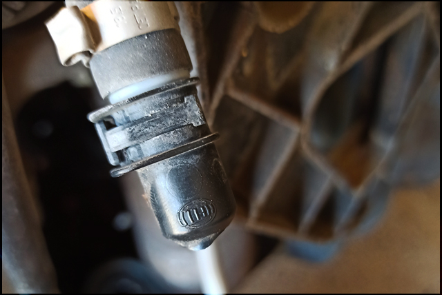 image.num1607277694.of.world-lolo.com.jp