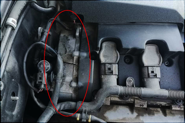 image.num1609827925.of.world-lolo.com.jp