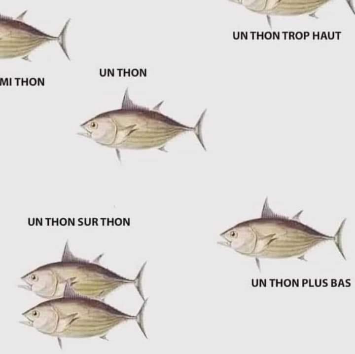 image perso