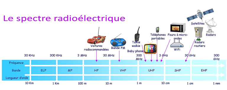 https://www.world-lolo.com/images/uploads/image.num1740074594.of.world-lolo.com.png
